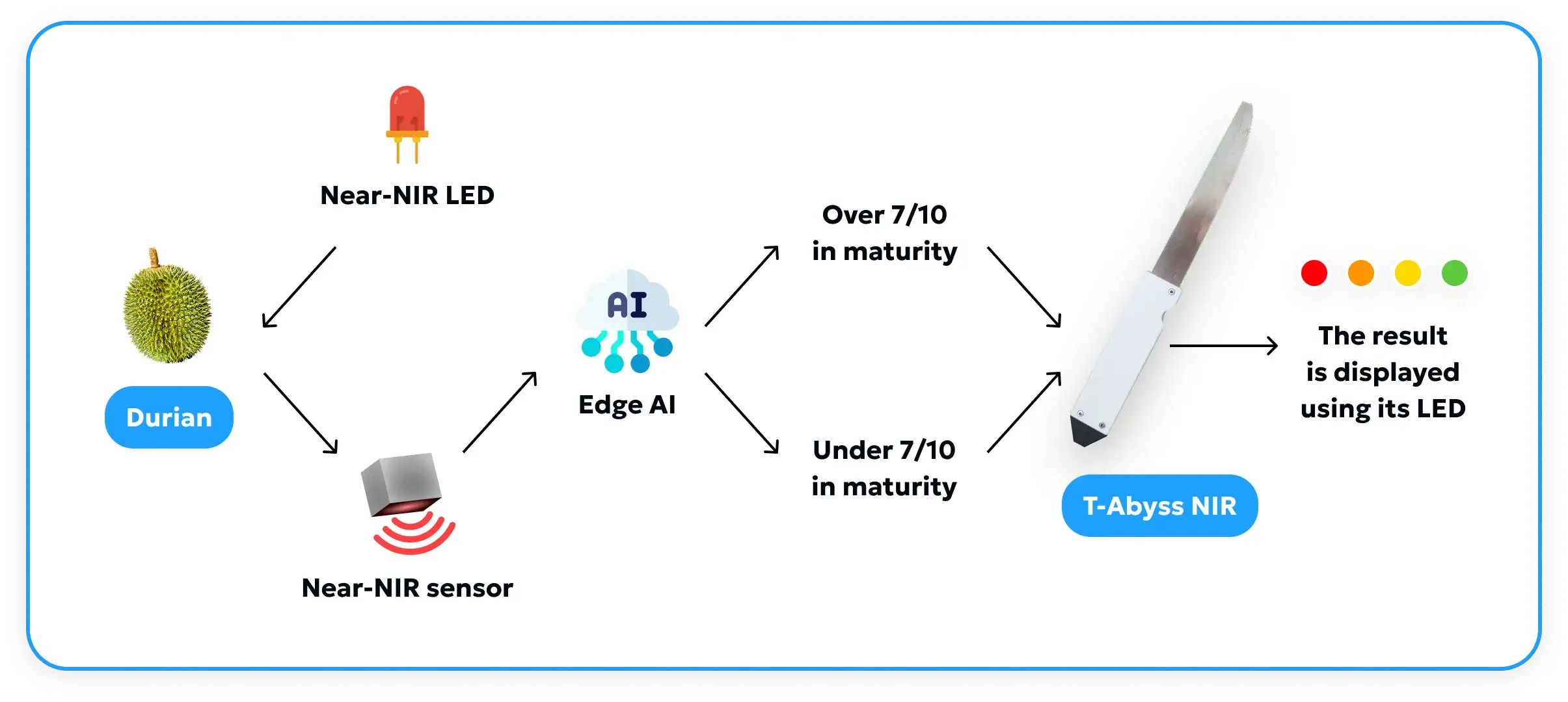 Durian Fruit Maturity Testing Knife