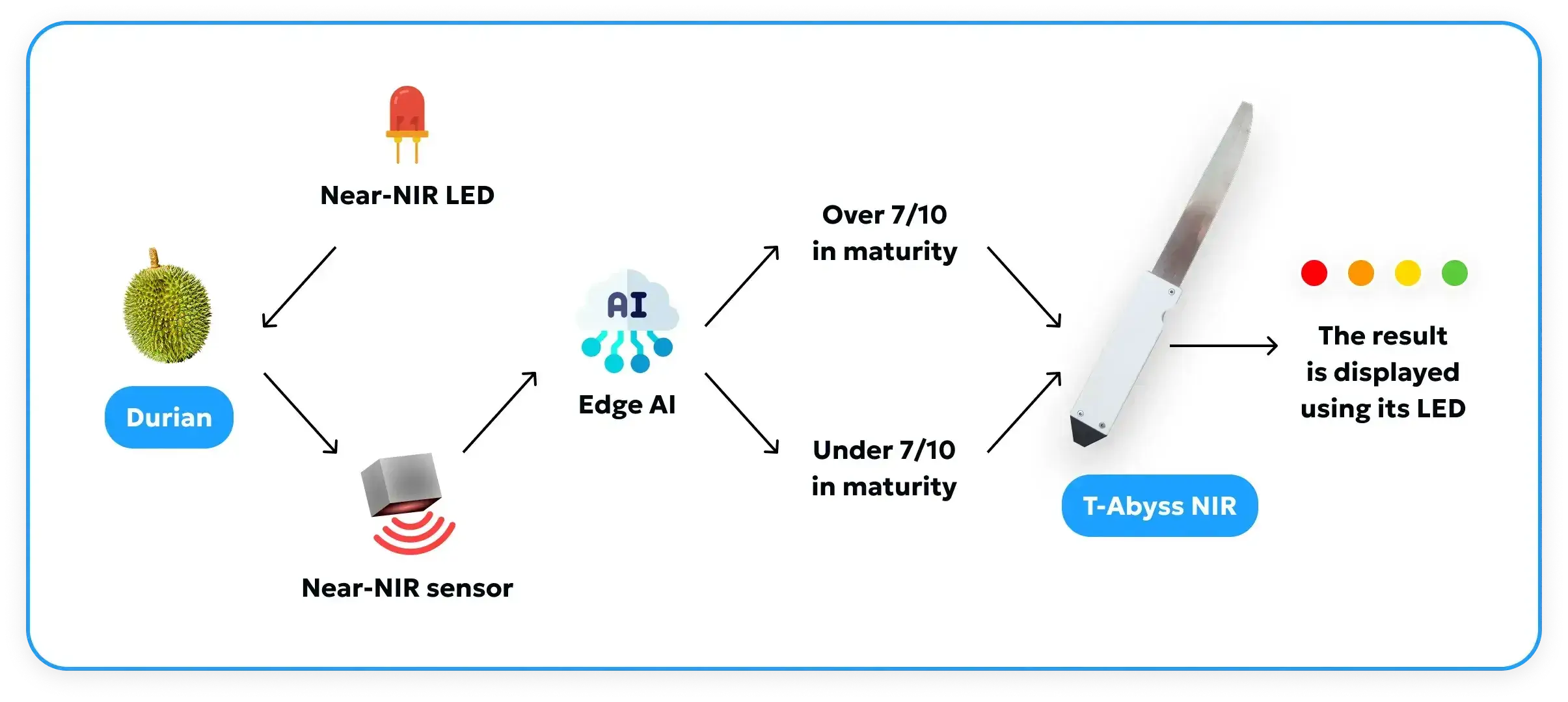 Durian Fruit Maturity Testing Knife