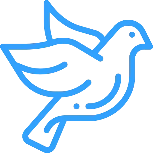 Optimized Bird Attraction