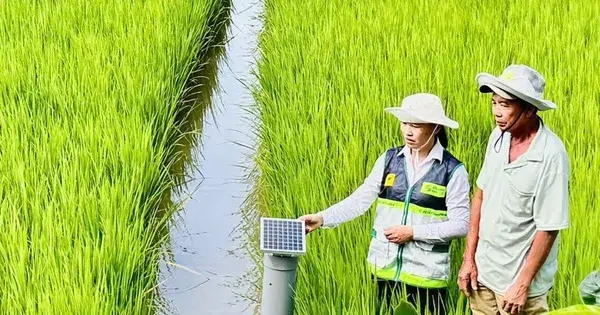 smart-rice-field-monitoring