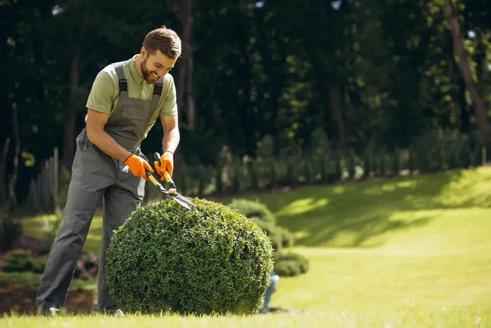 Landscaping & Equipment Contractors