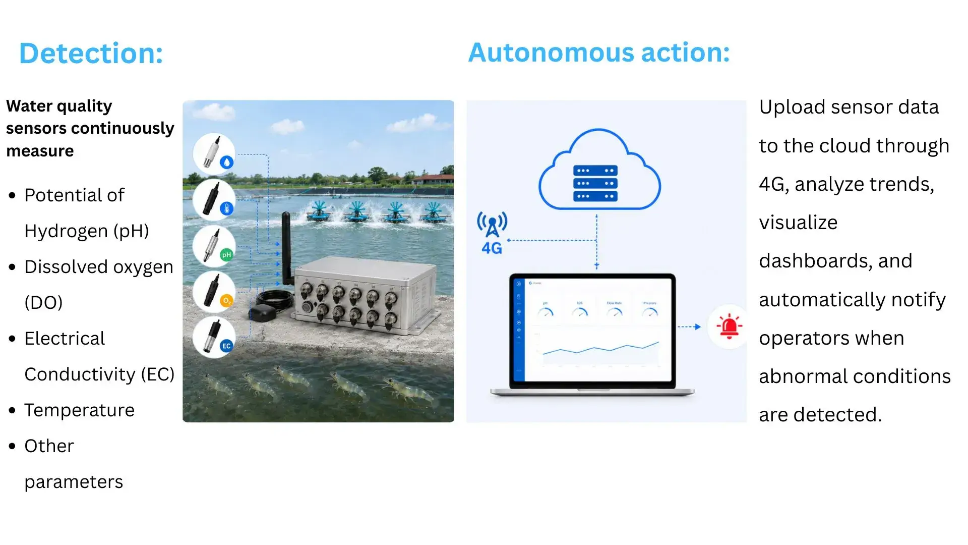 Real-Time Shrimp Pond Water Quality Monitoring