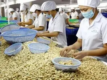 Pepper & Cashew Exports
