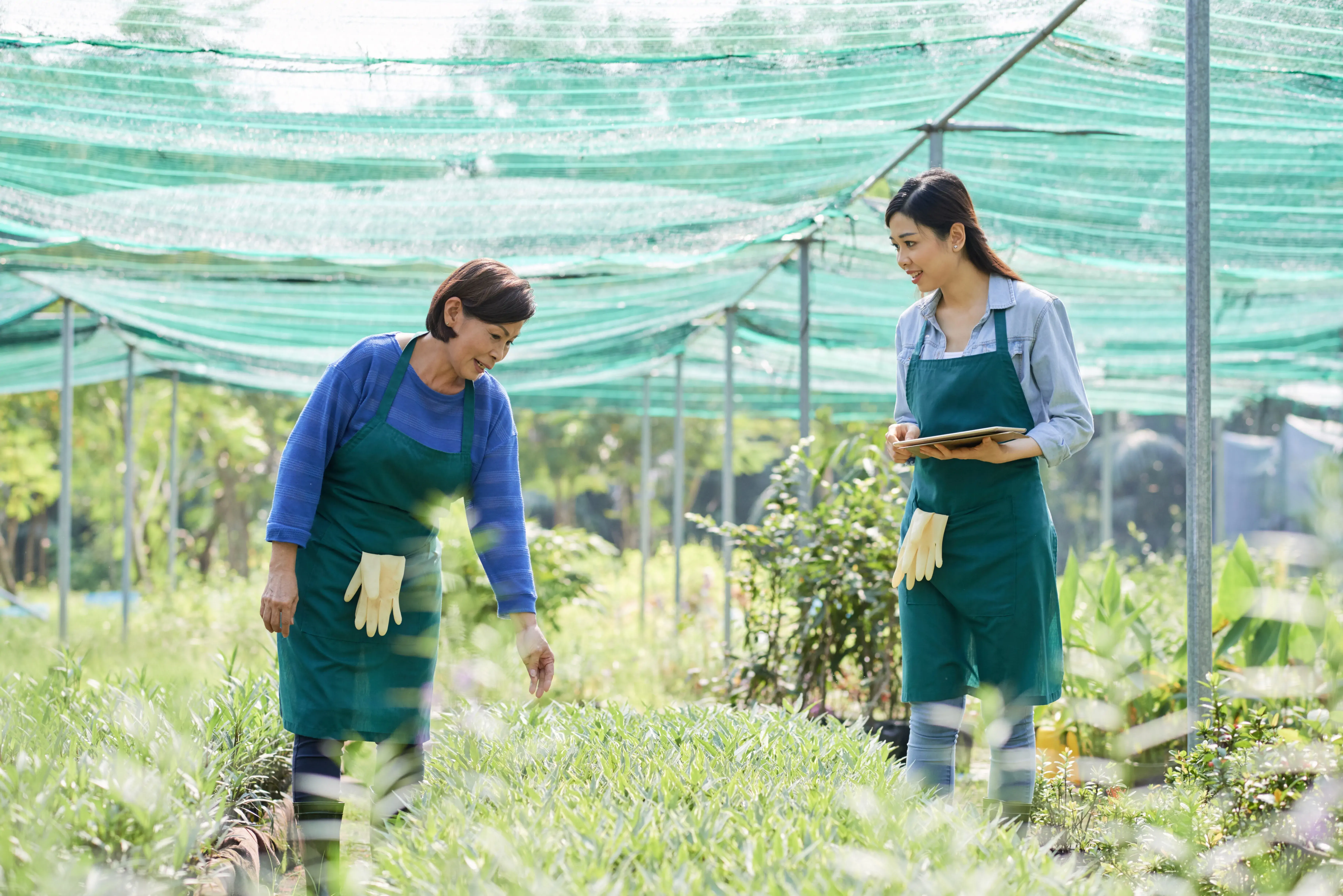 For Farms & Cooperatives