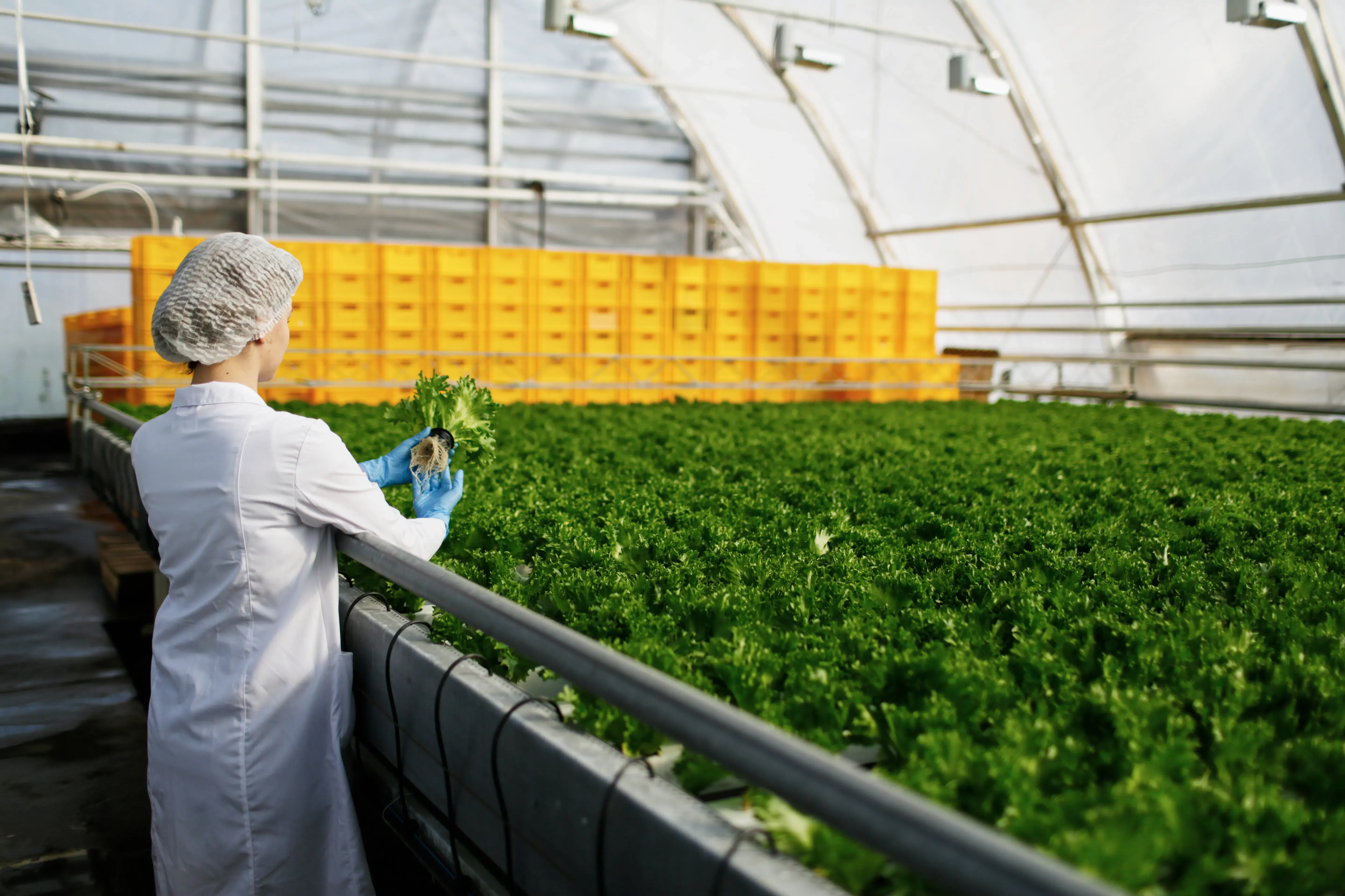 For Agri-Input Suppliers